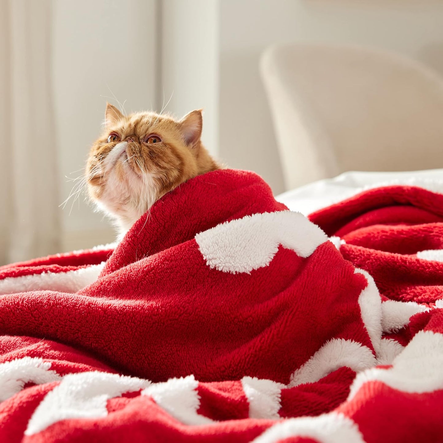 Valentines Day Throw Blanket - Soft and Warm Sherpa Heart Blanket Valentines Day Gifts for Him and Her, I Love You Red Blanket 50"X60"