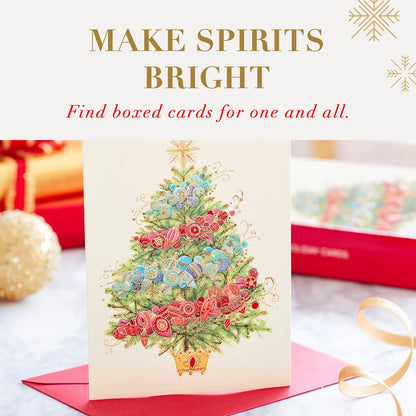 Festive Holiday Cards Boxed with Envelopes - 14 Count of Warmest Wishes for a Wonderful Season